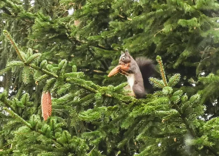 Mit Weitem Ausblick In 阿尔特瑙